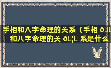 手相和八字命理的关系（手相 🐋 和八字命理的关 🦄 系是什么）